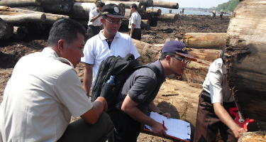 Indonesian wood industry acknowledges advantages of FLEGT