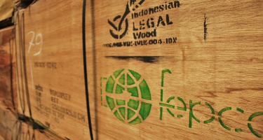 EU importers comment on the first two years of FLEGT licensing