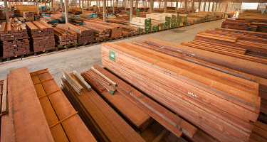 Sharp rise in dollar value of EU tropical timber imports