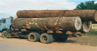Lao PDR developing timber legality definitions